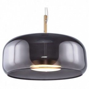 Подвесной светильник Maytoni Madmen MOD127PL-L6SG в Кудымкаре - kudymkar.mebel24.online | фото