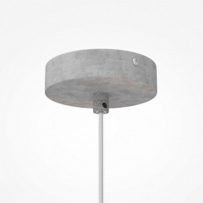 Подвесной светильник Maytoni Opus MOD380PL-01GR в Кудымкаре - kudymkar.mebel24.online | фото 6