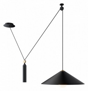 Подвесной светильник Maytoni Peso P080PL-01B в Кудымкаре - kudymkar.mebel24.online | фото 3