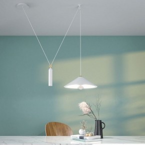 Подвесной светильник Maytoni Peso P080PL-01B в Кудымкаре - kudymkar.mebel24.online | фото 5