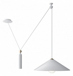 Подвесной светильник Maytoni Peso P080PL-01W в Кудымкаре - kudymkar.mebel24.online | фото 2
