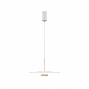 Подвесной светильник Maytoni Platte MOD352PL-L10W3K в Кудымкаре - kudymkar.mebel24.online | фото 4