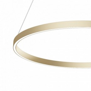 Подвесной светильник Maytoni Rim MOD058PL-L42BSK в Кудымкаре - kudymkar.mebel24.online | фото 4