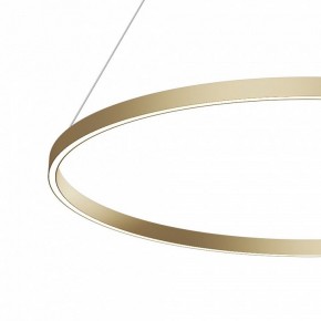 Подвесной светильник Maytoni Rim MOD058PL-L54BSK в Кудымкаре - kudymkar.mebel24.online | фото 4