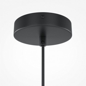 Подвесной светильник Maytoni Roots MOD194PL-01W1 в Кудымкаре - kudymkar.mebel24.online | фото 5