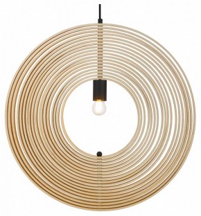 Подвесной светильник Maytoni Roots MOD197PL-01W2 в Кудымкаре - kudymkar.mebel24.online | фото 2
