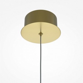 Подвесной светильник Maytoni Splash MOD282PL-L8G3K в Кудымкаре - kudymkar.mebel24.online | фото 5