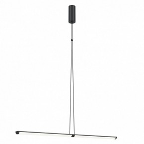 Подвесной светильник Maytoni Supersymmetry P096PL-L11BK1 в Кудымкаре - kudymkar.mebel24.online | фото 2