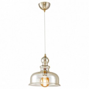 Подвесной светильник Maytoni Tone P001PL-01BZ в Кудымкаре - kudymkar.mebel24.online | фото 2