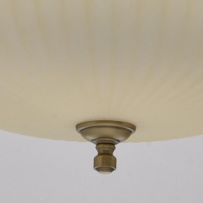 Подвесной светильник MW-Light Афродита 1 317010504 в Кудымкаре - kudymkar.mebel24.online | фото 9