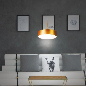 Подвесной светильник Novotech Prometa 358766 в Кудымкаре - kudymkar.mebel24.online | фото 4
