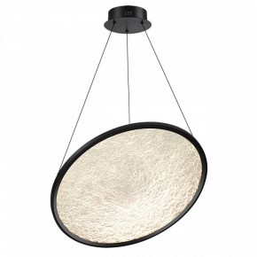 Подвесной светильник Odeon Light Fuso 7046/41L в Кудымкаре - kudymkar.mebel24.online | фото 2