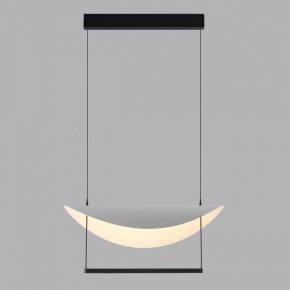 Подвесной светильник Odeon Light Next 7015/20L в Кудымкаре - kudymkar.mebel24.online | фото 4