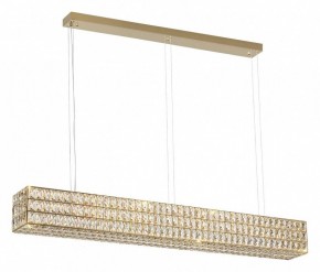 Подвесной светильник Odeon Light Panta 4926/60L в Кудымкаре - kudymkar.mebel24.online | фото 2