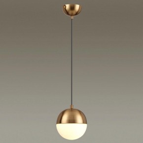Подвесной светильник Odeon Light Pinga 4960/1 в Кудымкаре - kudymkar.mebel24.online | фото 2