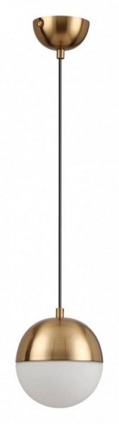 Подвесной светильник Odeon Light Pinga 4960/1 в Кудымкаре - kudymkar.mebel24.online | фото 3