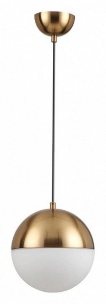 Подвесной светильник Odeon Light Pinga 4960/1A в Кудымкаре - kudymkar.mebel24.online | фото 3
