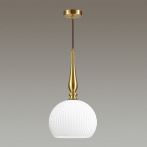 Подвесной светильник Odeon Light Runga 4766/1 в Кудымкаре - kudymkar.mebel24.online | фото 4