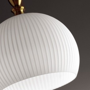 Подвесной светильник Odeon Light Runga 4766/1 в Кудымкаре - kudymkar.mebel24.online | фото 8