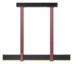 Подвесной светильник Odeon Light Vincent 6629/25L в Кудымкаре - kudymkar.mebel24.online | фото 2
