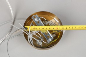 Подвесной светильник Omnilux Cesana OML-67103-08 в Кудымкаре - kudymkar.mebel24.online | фото 9