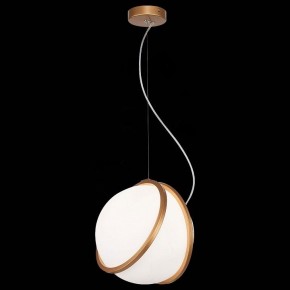 Подвесной светильник ST-Luce Acerra SL1181.353.01 в Кудымкаре - kudymkar.mebel24.online | фото 4