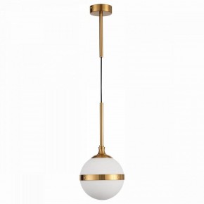 Подвесной светильник ST-Luce Arbe SL1157.303.01 в Кудымкаре - kudymkar.mebel24.online | фото 2