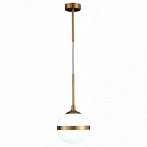 Подвесной светильник ST-Luce Arbe SL1157.303.01 в Кудымкаре - kudymkar.mebel24.online | фото 3