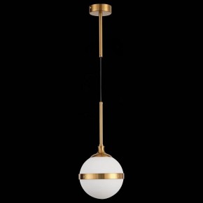 Подвесной светильник ST-Luce Arbe SL1157.303.01 в Кудымкаре - kudymkar.mebel24.online | фото 4