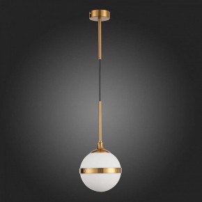 Подвесной светильник ST-Luce Arbe SL1157.303.01 в Кудымкаре - kudymkar.mebel24.online | фото 5