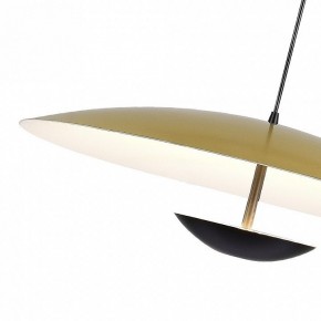 Подвесной светильник ST-Luce Armonico SL6502.213.01 в Кудымкаре - kudymkar.mebel24.online | фото