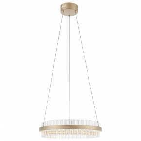 Подвесной светильник ST-Luce Cherio SL383.203.01 в Кудымкаре - kudymkar.mebel24.online | фото 3