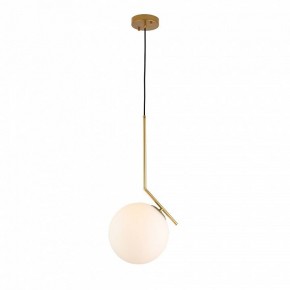 Подвесной светильник ST-Luce Codda SL1148.303.01 в Кудымкаре - kudymkar.mebel24.online | фото 2