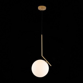 Подвесной светильник ST-Luce Codda SL1148.303.01 в Кудымкаре - kudymkar.mebel24.online | фото 5