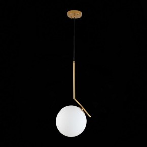 Подвесной светильник ST-Luce Codda SL1148.303.01 в Кудымкаре - kudymkar.mebel24.online | фото 6