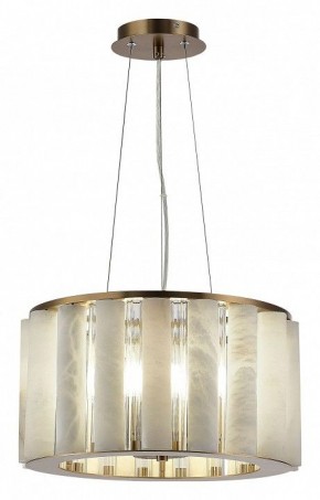 Подвесной светильник ST-Luce Delight SL1516.303.06 в Кудымкаре - kudymkar.mebel24.online | фото 3