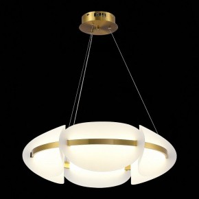 Подвесной светильник ST-Luce Etoile SL1304.203.45 в Кудымкаре - kudymkar.mebel24.online | фото 4