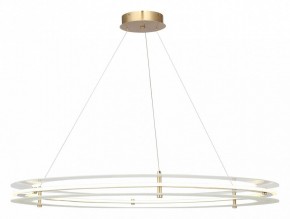 Подвесной светильник ST-Luce FAGY SL6245.213.01 в Кудымкаре - kudymkar.mebel24.online | фото 2