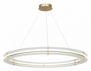 Подвесной светильник ST-Luce FAGY SL6245.213.01 в Кудымкаре - kudymkar.mebel24.online | фото 4