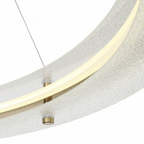 Подвесной светильник ST-Luce FAGY SL6245.213.01 в Кудымкаре - kudymkar.mebel24.online | фото 6