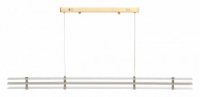 Подвесной светильник ST-Luce FAGY SL6245.223.01 в Кудымкаре - kudymkar.mebel24.online | фото 3