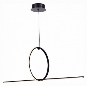 Подвесной светильник ST-Luce Gaia SL6113.413.01 в Кудымкаре - kudymkar.mebel24.online | фото 3
