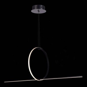 Подвесной светильник ST-Luce Gaia SL6113.413.01 в Кудымкаре - kudymkar.mebel24.online | фото 4
