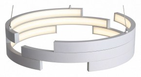 Подвесной светильник ST-Luce Genuine SL963.503.01 в Кудымкаре - kudymkar.mebel24.online | фото