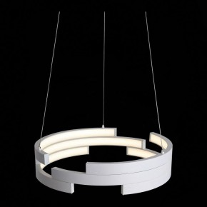 Подвесной светильник ST-Luce Genuine SL963.503.01 в Кудымкаре - kudymkar.mebel24.online | фото 6