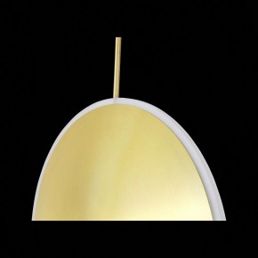 Подвесной светильник ST-Luce Imente SL1221.213.01 в Кудымкаре - kudymkar.mebel24.online | фото 9