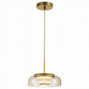 Подвесной светильник ST-Luce Lacio SL6002.203.01 в Кудымкаре - kudymkar.mebel24.online | фото