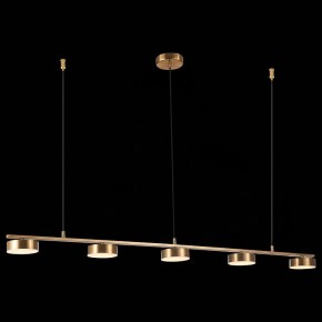 Подвесной светильник ST-Luce Pances SL6000.303.05 в Кудымкаре - kudymkar.mebel24.online | фото 5