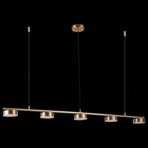 Подвесной светильник ST-Luce Pances SL6000.303.05 в Кудымкаре - kudymkar.mebel24.online | фото 6