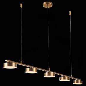 Подвесной светильник ST-Luce Pances SL6000.303.05 в Кудымкаре - kudymkar.mebel24.online | фото 7